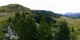Bear Sanctuary