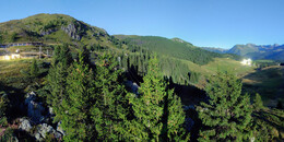 Bear Sanctuary