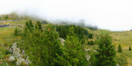 Bear Sanctuary