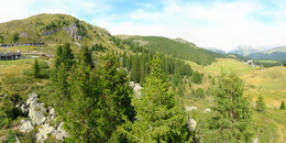 Bear Sanctuary
