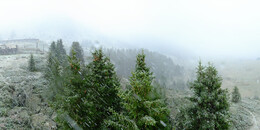 Bärenland