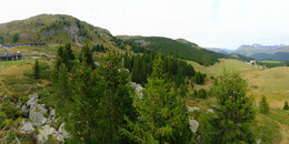 Bear Sanctuary