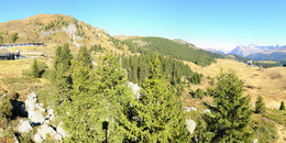 Bear Sanctuary