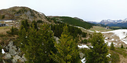Bear Sanctuary