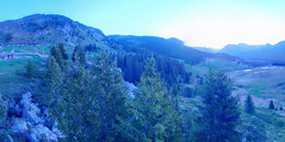 Bear Sanctuary