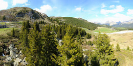 Bärenland