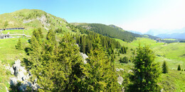 Bear Sanctuary