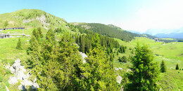 Bärenland
