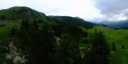 Bear Sanctuary