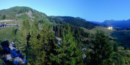 Bear Sanctuary