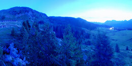 Bear Sanctuary