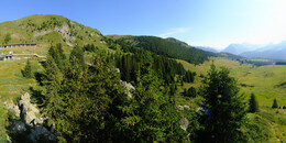 Bärenland